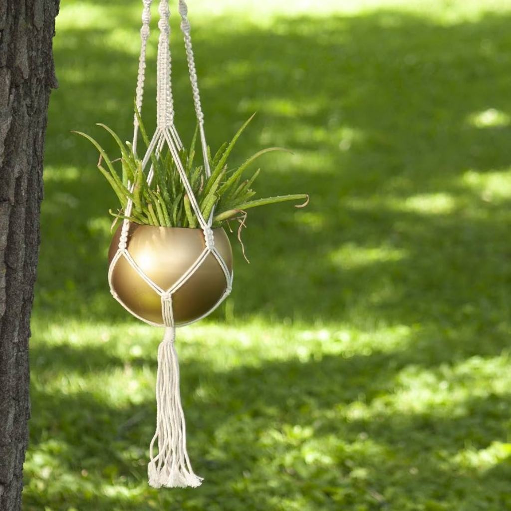 Design sem nome (13)